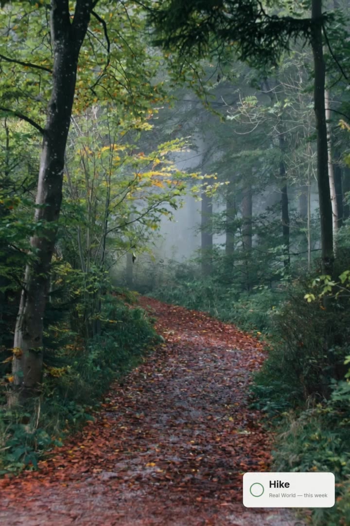 Forest path with a completed Hike in Real World.